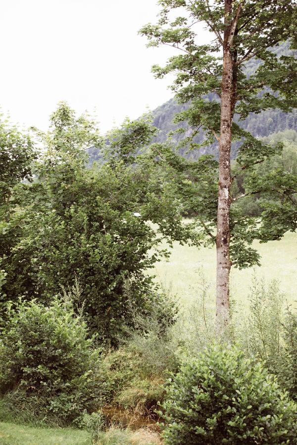 Bachbett - Modernes Gaestehaus Im Salzkammergut باد اسشي المظهر الخارجي الصورة